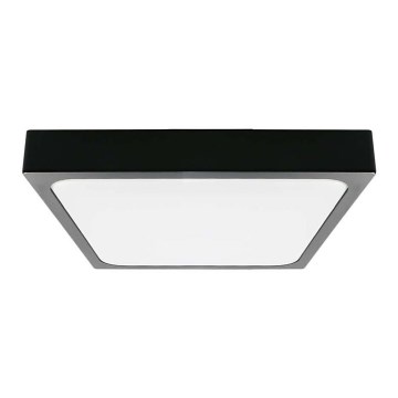 LED Kúpeľňové stropné svietidlo LED/24W/230V 6500K IP44 čierna