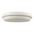 LED Kúpeľňové stropné svietidlo LED/24W/230V 6500K IP54 pr. 24 cm