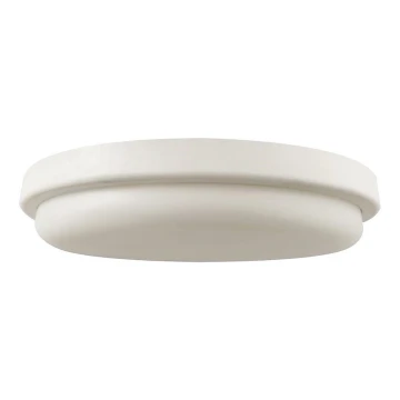 LED Kúpeľňové stropné svietidlo LED/24W/230V 6500K IP54 pr. 24 cm