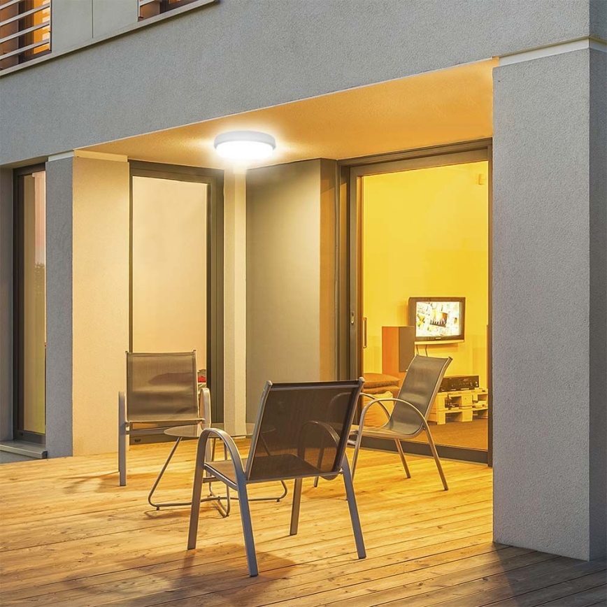 LED Kúpeľňové stropné svietidlo LED/24W/230V 6500K IP54 pr. 24 cm