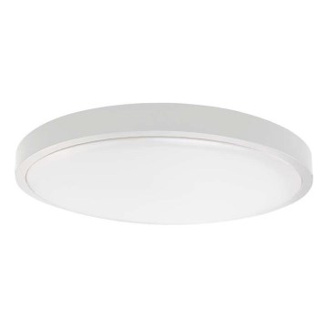 LED Kúpeľňové stropné svietidlo LED/30W/230V 6500K IP44 biela