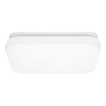 LED Kúpeľňové stropné svietidlo LUKY LED/12W/230V 4000K 24x24 cm IP44