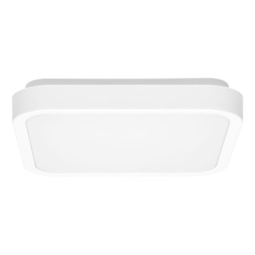 LED Kúpeľňové stropné svietidlo LUKY LED/12W/230V 4000K 25x25 cm IP44 biela