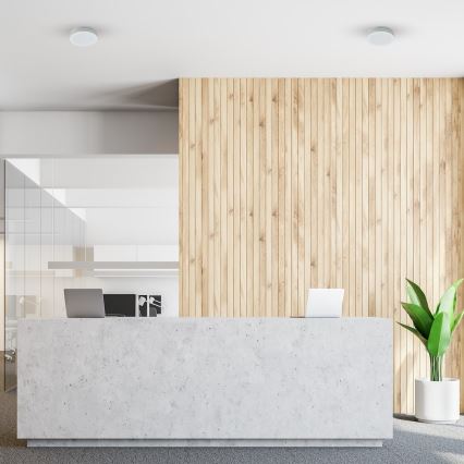 LED kúpeľňové stropné svietidlo MARLON LED/12W/230V priemer 18 cm IP54 biela