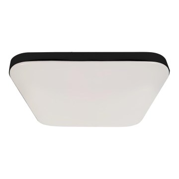 LED Kúpeľňové stropné svietidlo NEMO LED/17W/230V IP44 čierna