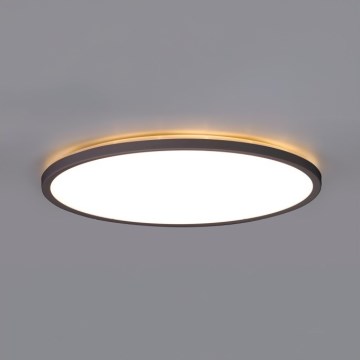 LED Kúpeľňové stropné svietidlo NIVERA LED/12W/230V IP54 3000/4000/6000K pr. 22,5 cm čierna