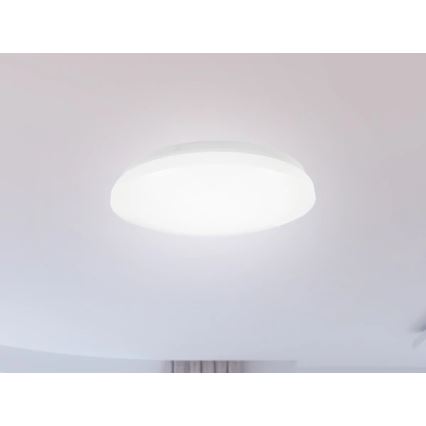 LED Kúpeľňové stropné svietidlo OPAL LED/12W/230V pr. 24,5 cm IP44 biela