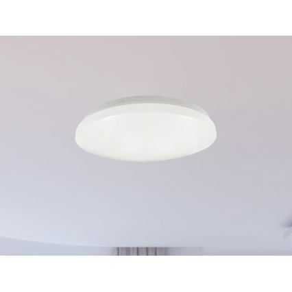 LED Kúpeľňové stropné svietidlo OPAL LED/12W/230V pr. 24,5 cm IP44 biela