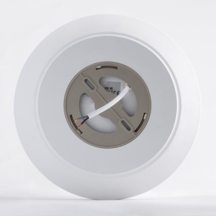 LED Kúpeľňové stropné svietidlo so senzorom AVESTA LED/12W/230V 4000K IP54