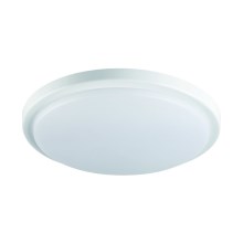 LED Kúpeľnové stropné svietidlo so senzorom ORTE LED/18W/230V IP54