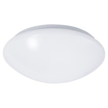 LED Kúpelňové stropné svietidlo so senzorom REVA LED/12W/230V IP44