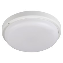 LED Kúpeľňové stropné svietidlo TOLU LED/18W/230V 4000K IP54 biela