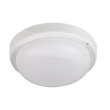 LED Kúpeľňové stropné svietidlo TOLU LED/9W/230V 4000K IP54 biela