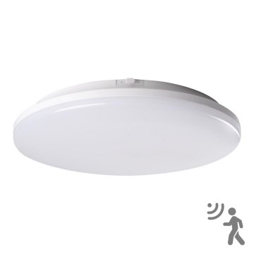 LED Kúpeľňové svietidlo so senzorom STIVI LED/24W/230V IP65