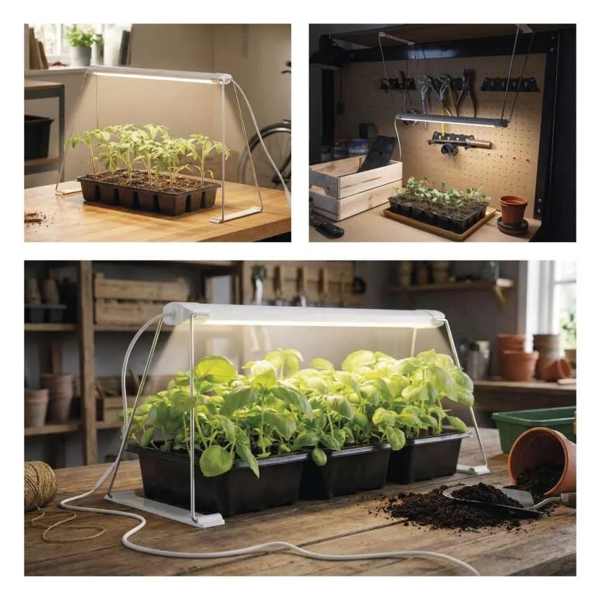 LED lampa do interiéru na pestovanie rastlín GROW LED/15W/230V