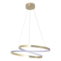 LED luster na kábli ZEFIRA LED/40W/230V 4000K priemer 50 cm zlatý