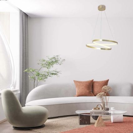 LED luster na kábli ZEFIRA LED/40W/230V 4000K priemer 50 cm zlatý