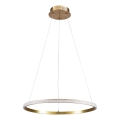 LED luster na lankách DIANA LED/25W/230V 4000K pr. 50 cm zlatý