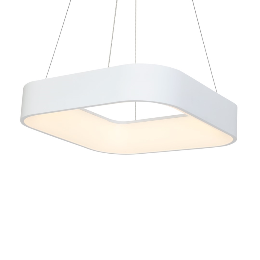 LED Luster na lanku ASTRO 1xLED/24W/230V