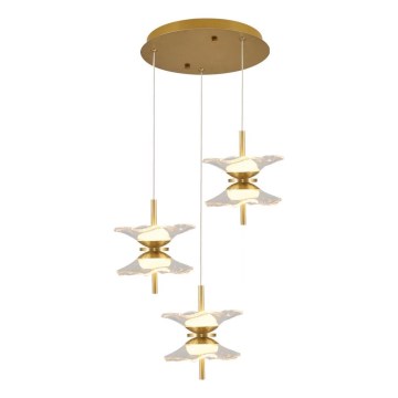 LED luster na lanku BUTTERFLY 6xLED/5W/230V 3000K zlatý