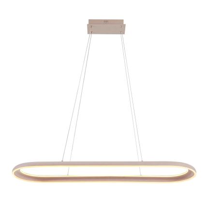 LED luster na lanku CASHMERE LED/80W/230V 30x100 cm biela