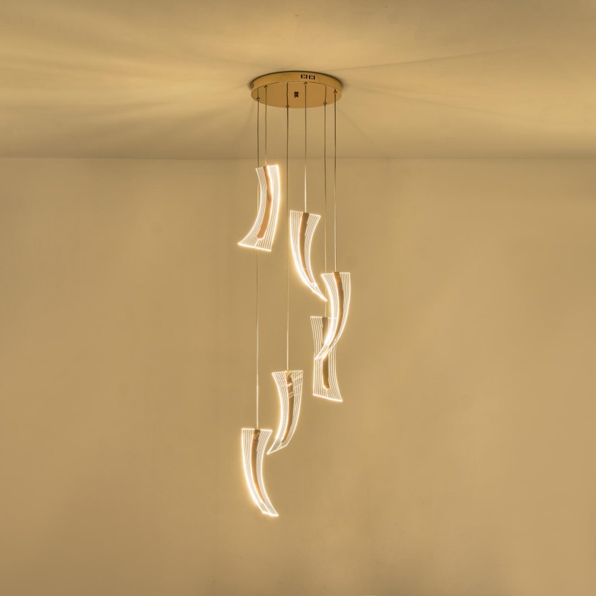 LED Luster na lanku FIRENZE 6xLED/10W/230V 3000K