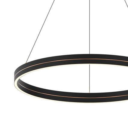 LED Luster na lanku GRAVITY LED/36W/230V čierna