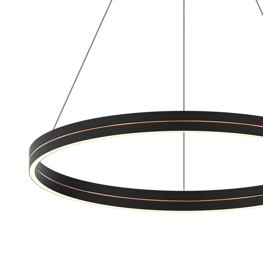 LED Luster na lanku GRAVITY LED/36W/230V čierna