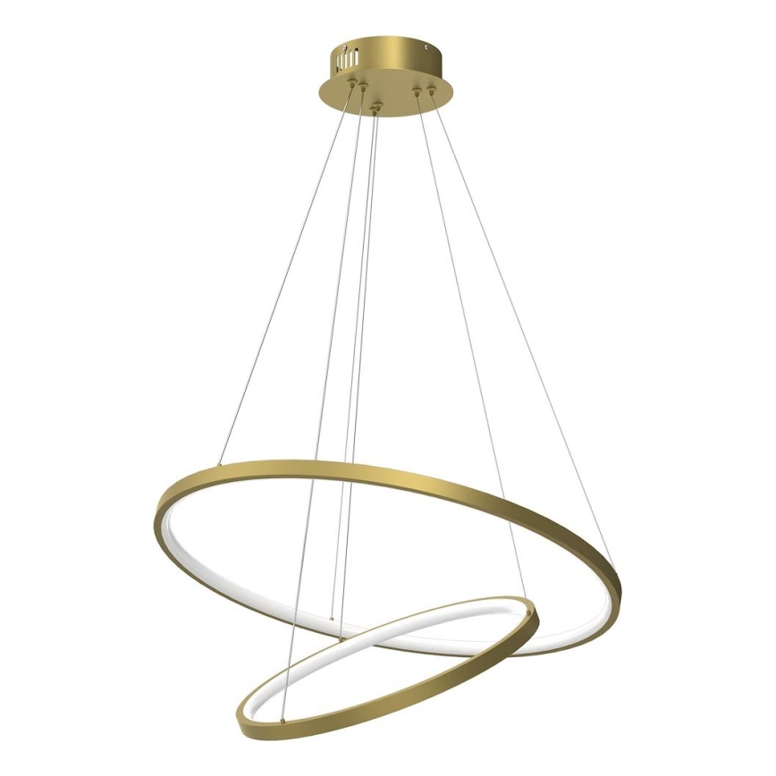 LED Luster na lanku HOOP LED/51W/230V pr. 60 cm 4000K zlatá