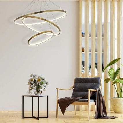 LED Luster na lanku LEA LED/60W/230V 4000K pr. 80 cm zlatá