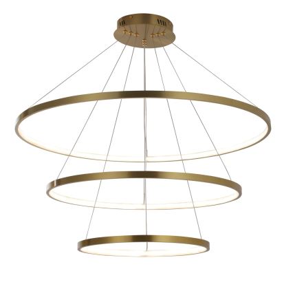 LED Luster na lanku LEA LED/60W/230V 4000K pr. 80 cm zlatá