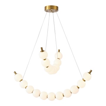 LED Luster na lanku LED/19W/230V 3000K