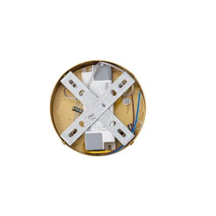 LED Luster na lanku LED/19W/230V 3000K