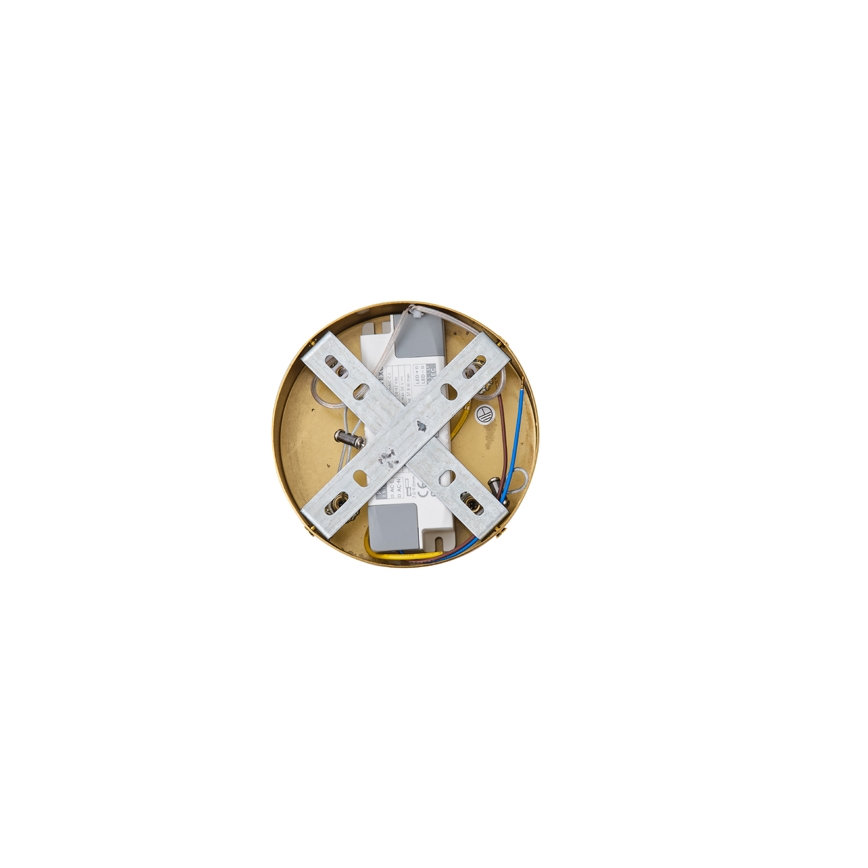 LED Luster na lanku LED/19W/230V 3000K
