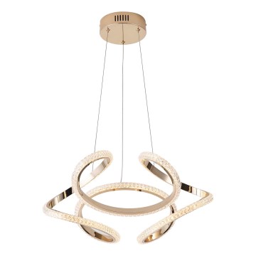 LED Luster na lanku LED/24W/230V 3000K 50x120 cm