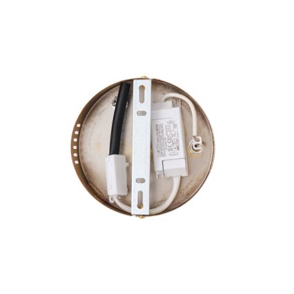 LED Luster na lanku LED/24W/230V 3000K 50x120 cm