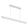 LED Luster na lanku LED/36W/230V 3000/4000/6400K biela