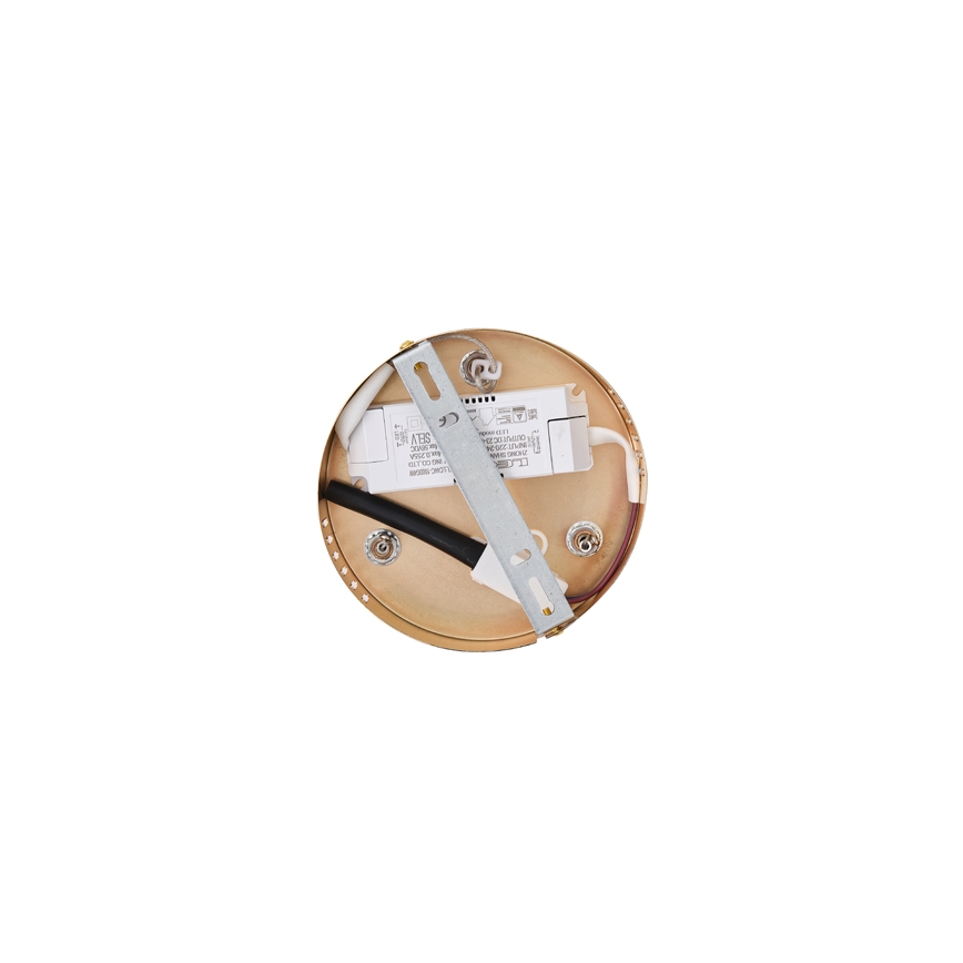 LED Luster na lanku LED/38W/230V 3000K 50x120 cm
