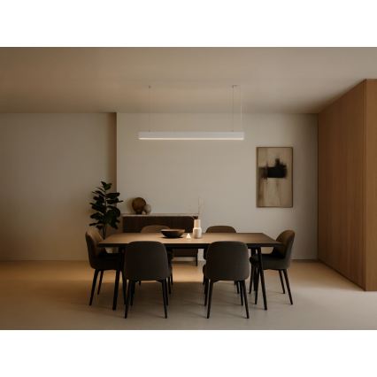 LED luster na lanku LED/55W/230V 3000/4000/6500K 120 cm biela