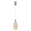 LED Luster na lanku LED/6,3W/230V 3000K zlatá pr. 20 cm