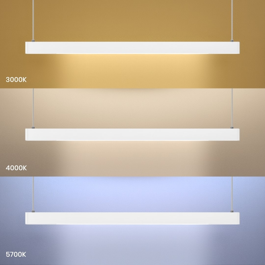 LED Luster na lanku LINEA LED/36W/230V 3000/4000/5700K CRI 90 biela