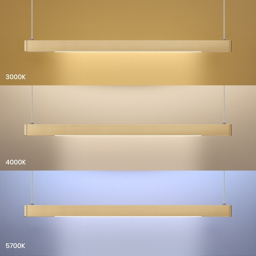 LED luster na lanku LINEA LED/36W/230V 3000/4000/5700K CRI 90 zlatý