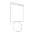 LED Luster na lanku LOOP LED/20W/230V biela
