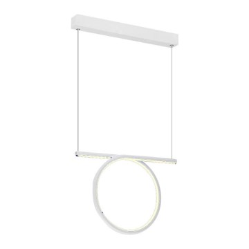 LED Luster na lanku LOOP LED/20W/230V biela