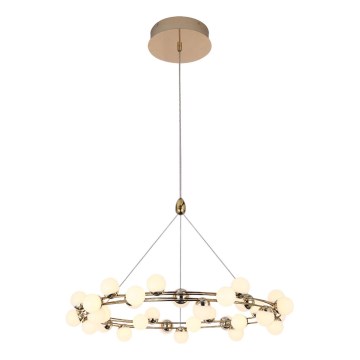 LED luster na lanku MARS LED/50W/230V 3000K zlatý