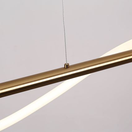 LED luster na lanku MELECA LED/24W/230V 3000/4000/6000K 100 cm zlatý