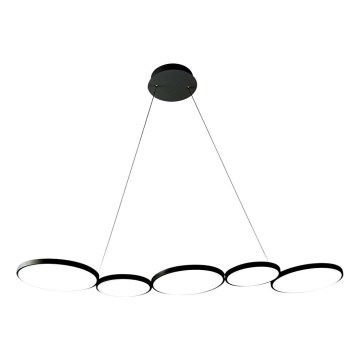 LED Luster na lanku OLYMPIA 5xLED/10W/230V čierna