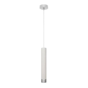 LED Luster na lanku TUBA 1xGU10/4,8W/230V biela/lesklý chróm