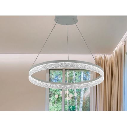LED stmievateľný luster na lanku ALIANZ LED/45W/230V 3000-6000K pr. 60 cm + diaľkové ovládanie