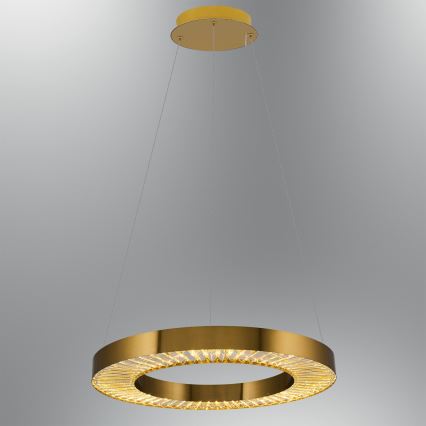 LED Lustra na laně JESI LED/35W/230V 3000K Ø 60 cm bronzová